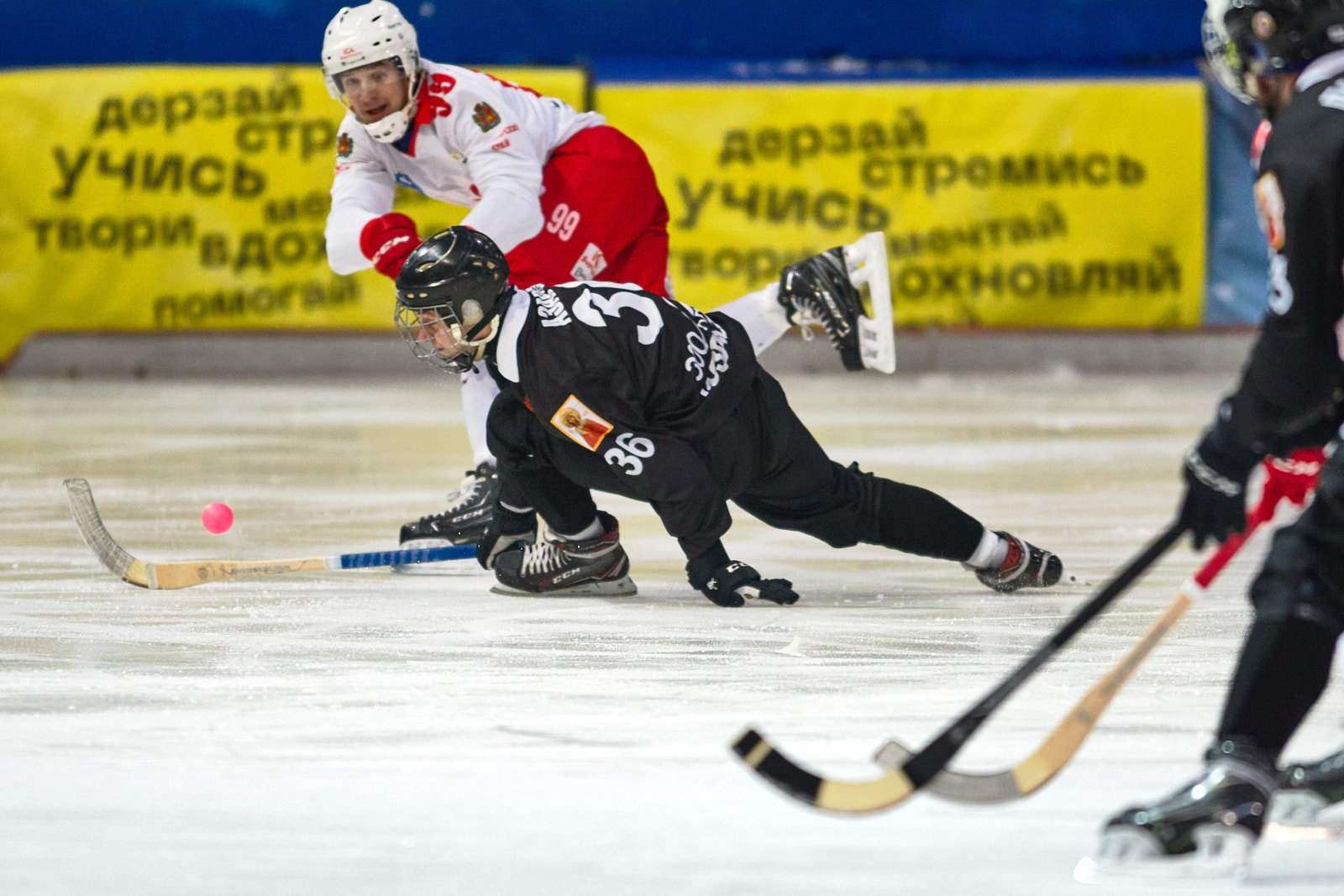IMG 4572