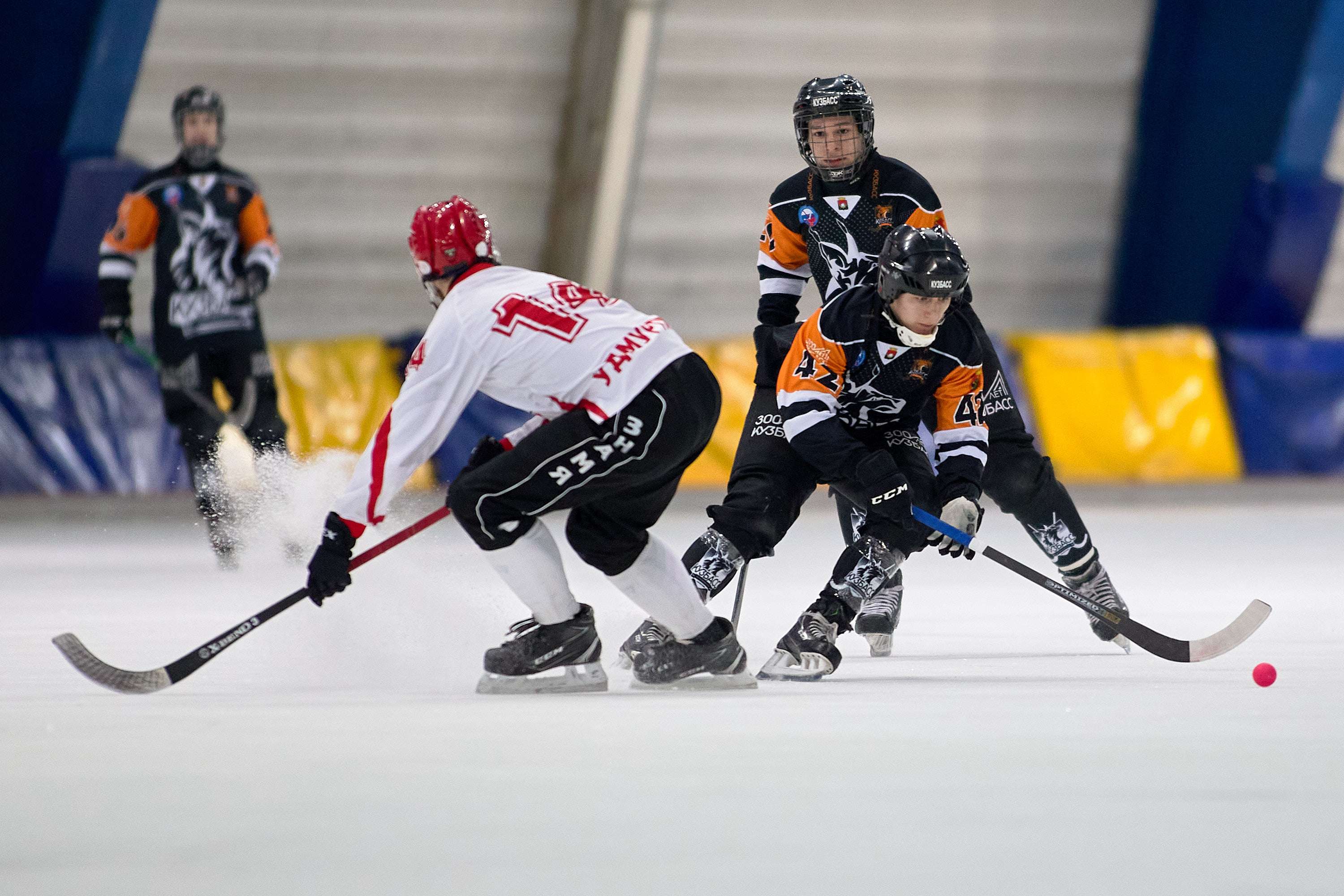 IMG 4846