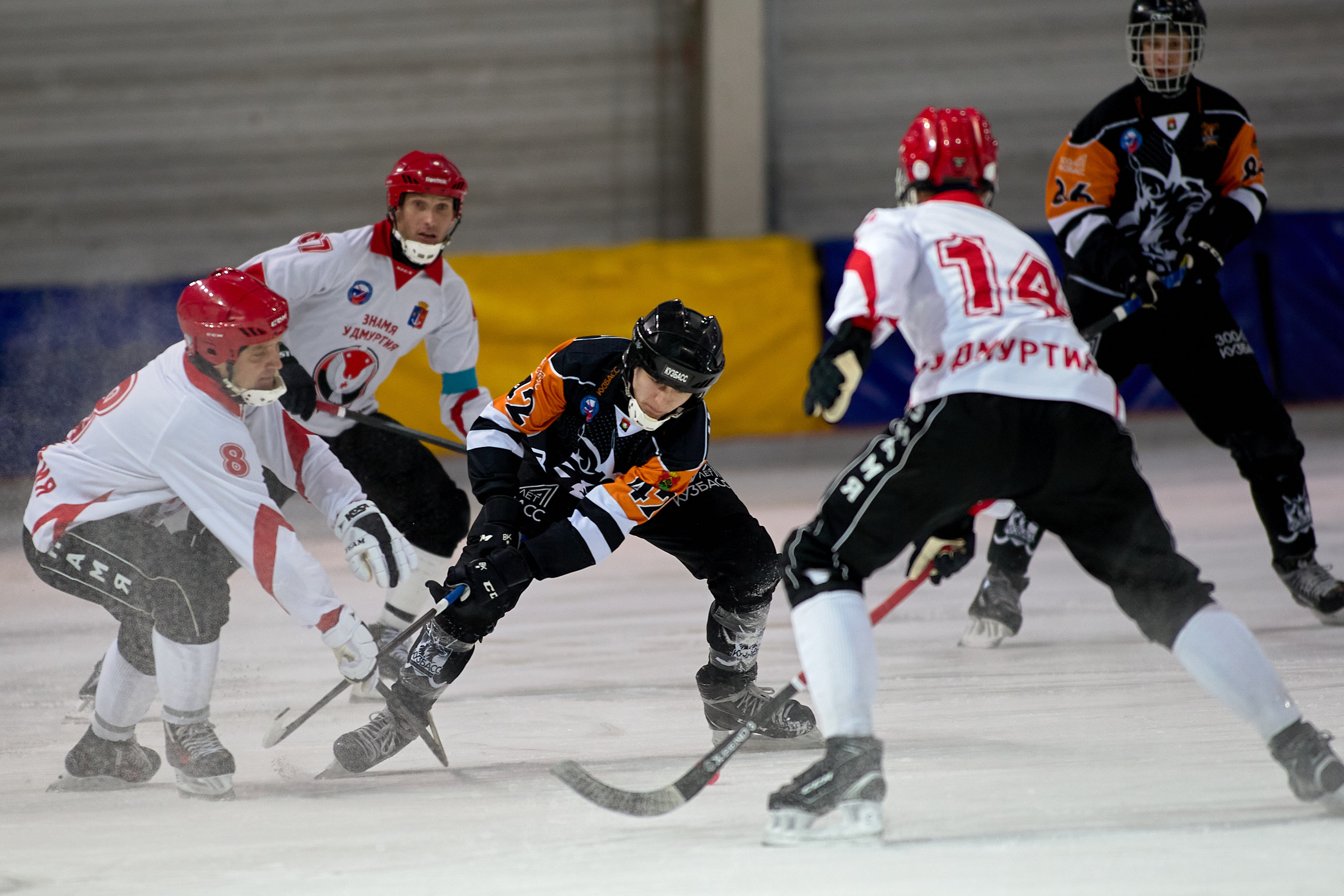 IMG 4887