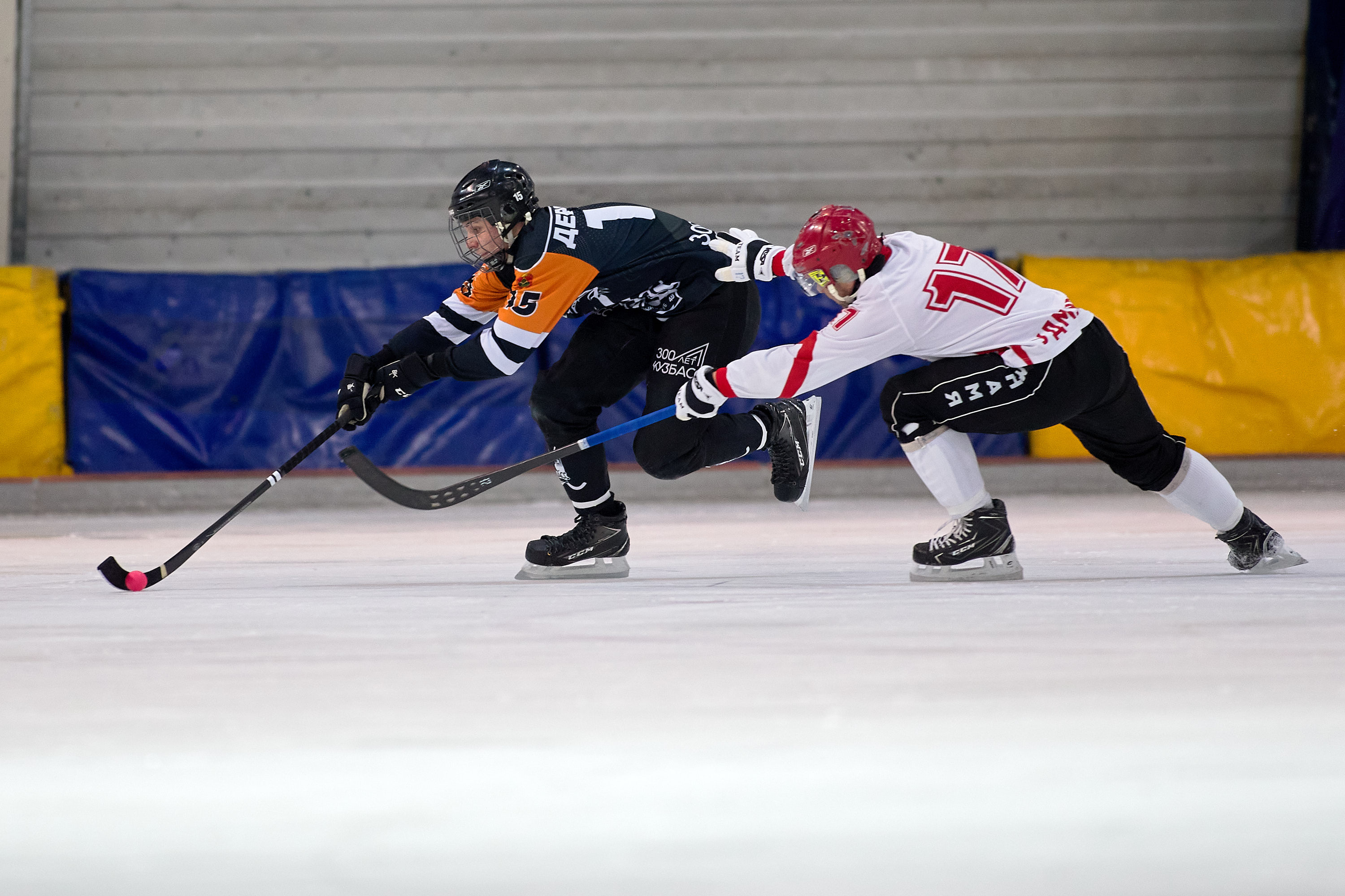 IMG 4904
