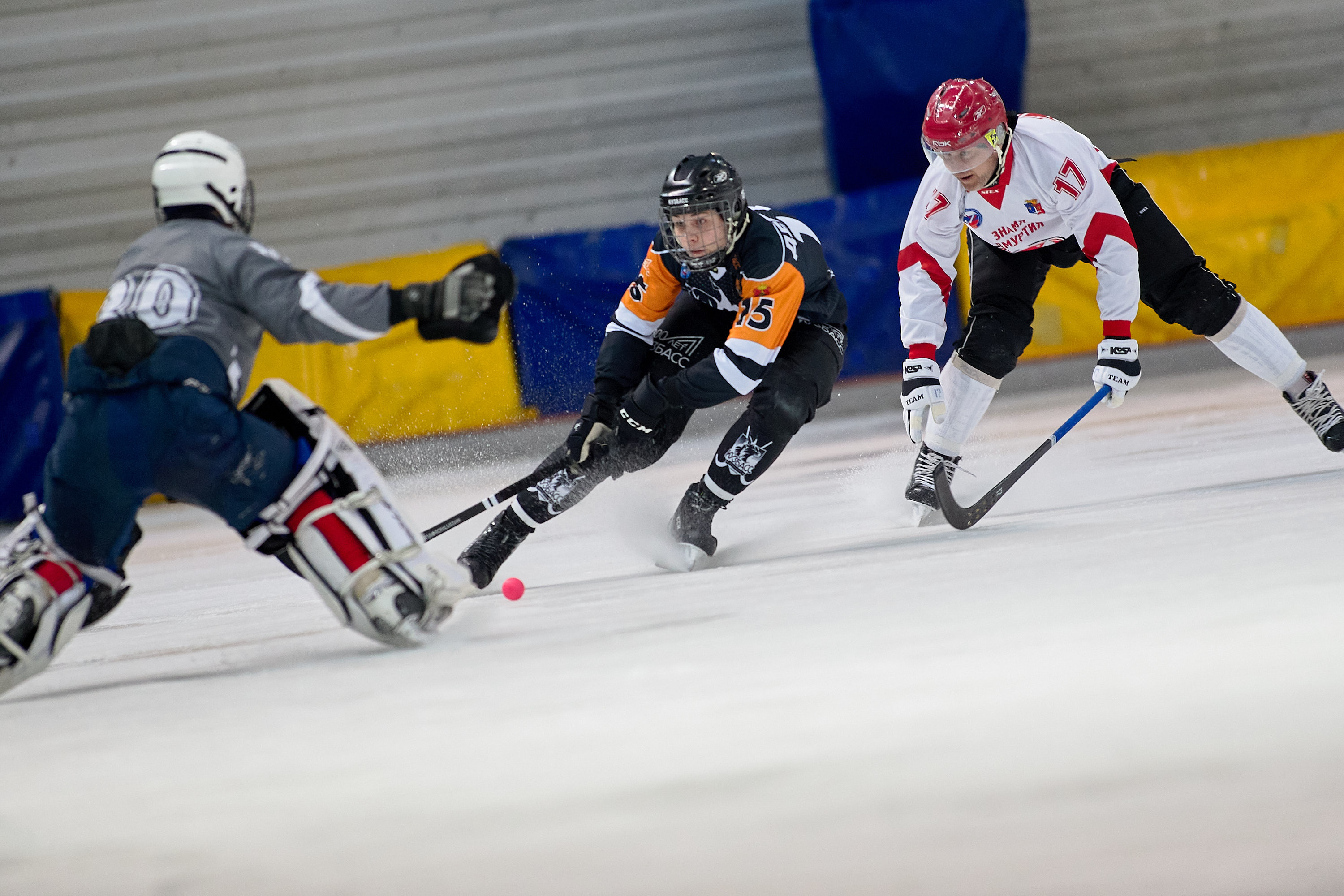 IMG 4965