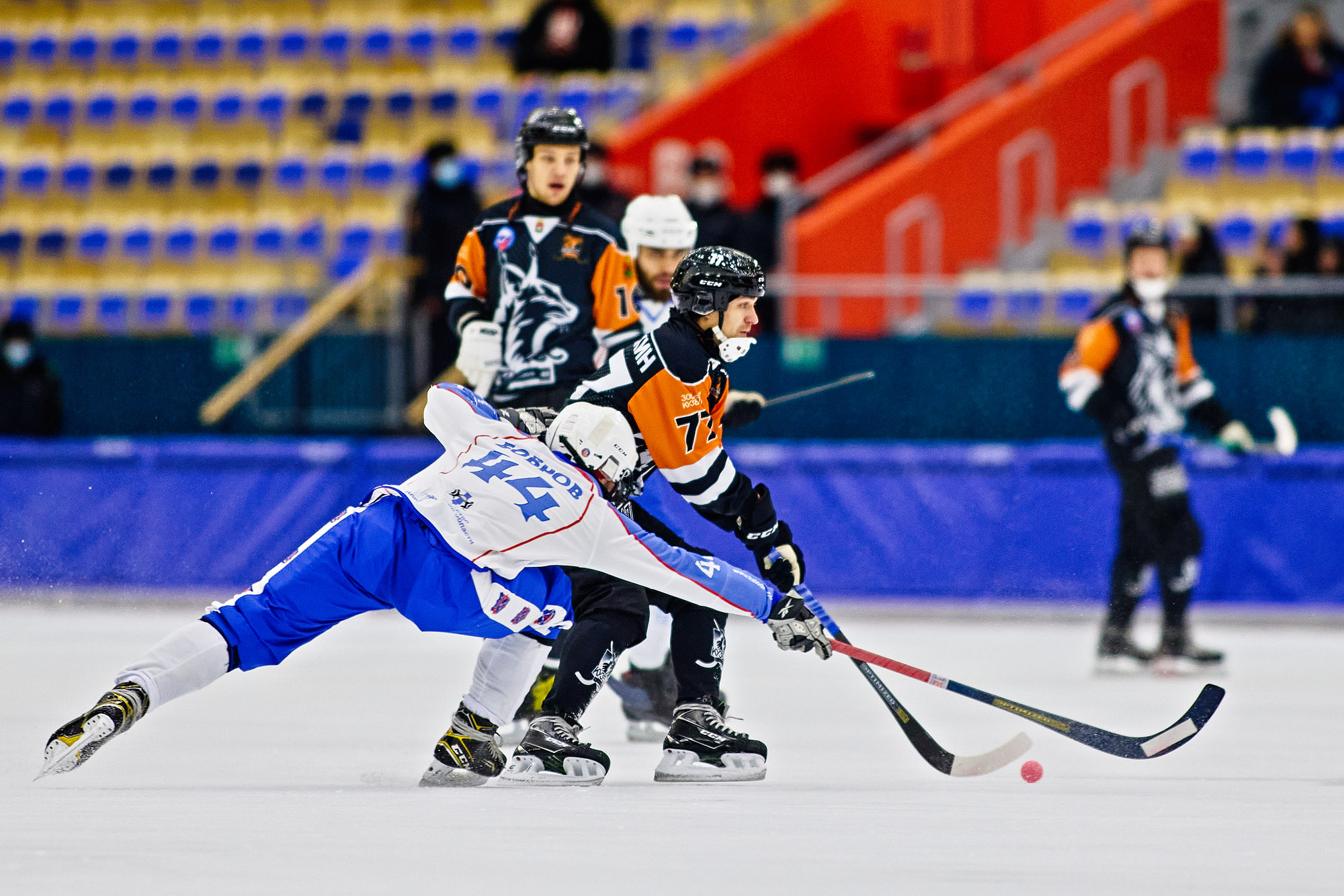 IMG 5884