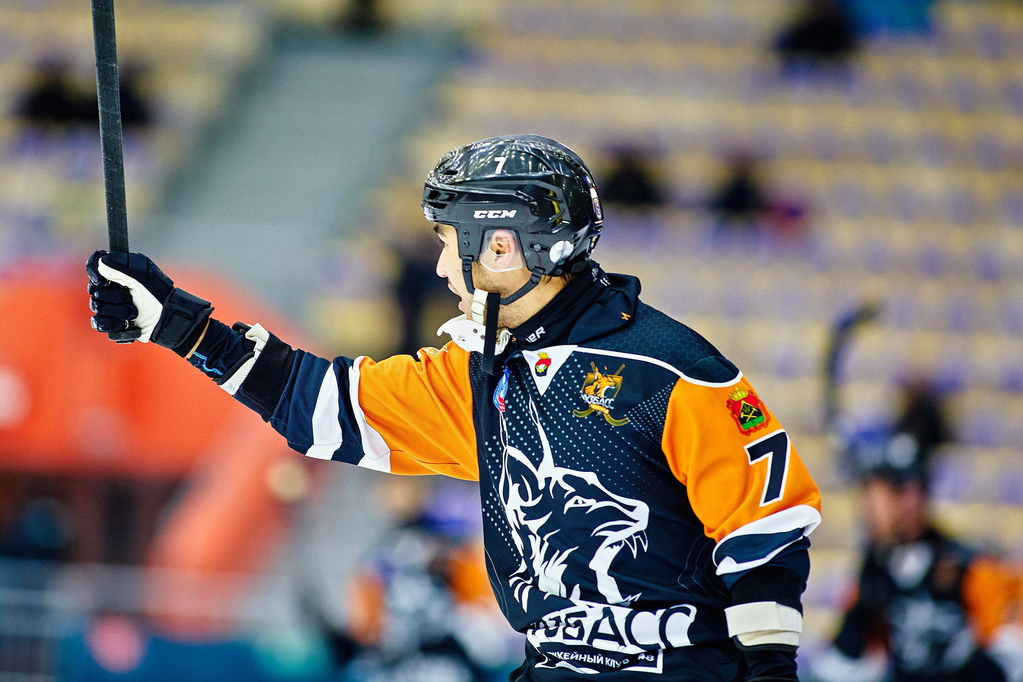 IMG 6101