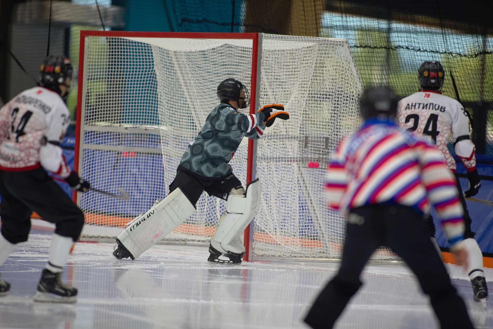 IMG 4665