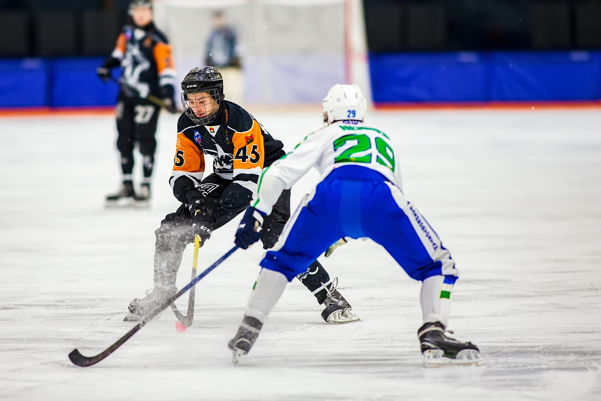 IMG 4087