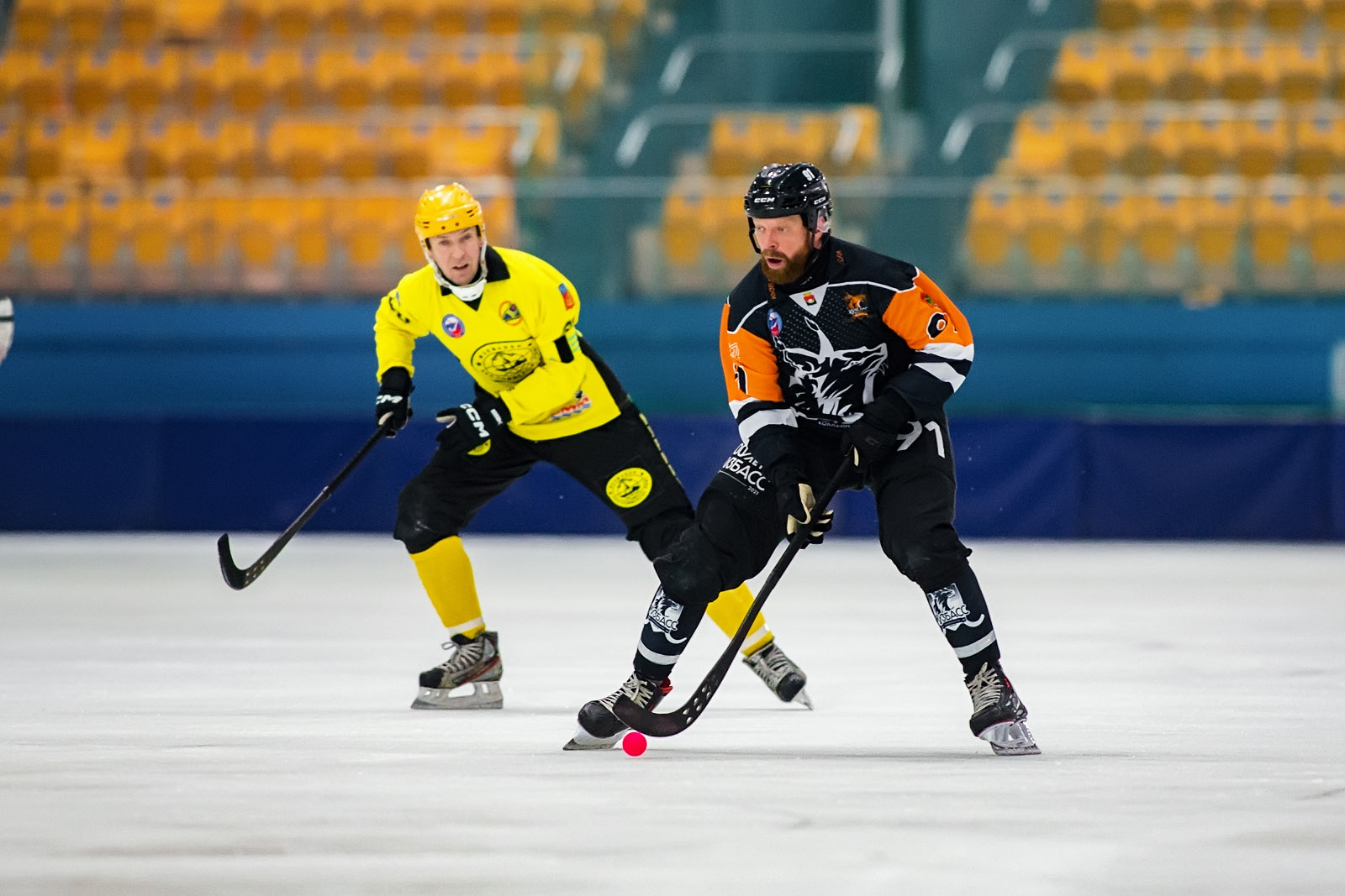 IMG 1141