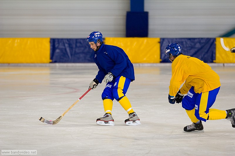 Img 0716 std