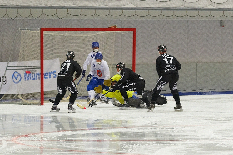 IMG 6639