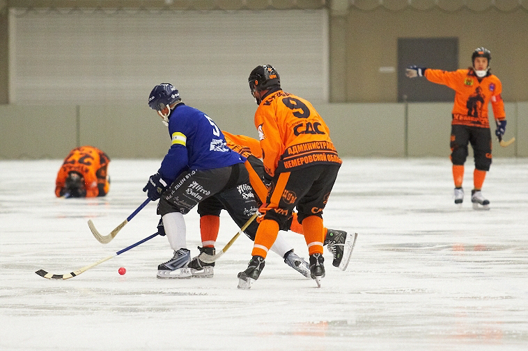 IMG 7036