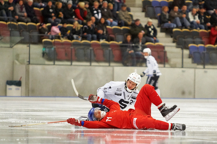 IMG 7473