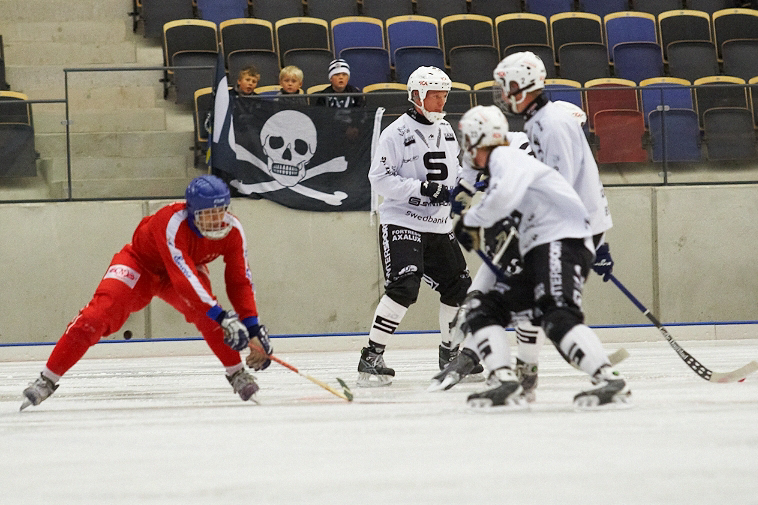 IMG 7558