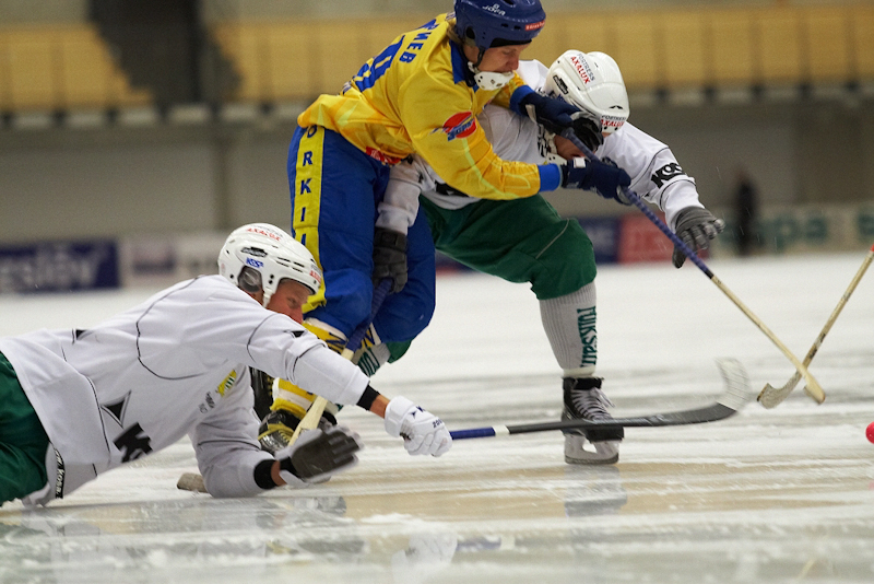 IMG 8373